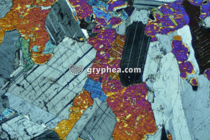 Gabbro LPA x6,3 - gryphea.com